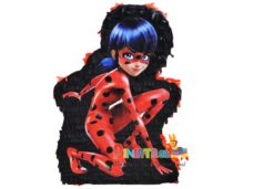 ΧΕΙΡΟΠΟΙΗΤΗ ΠΙΝΙΑΤΑ MIRACULOUS LADYBUG ΣΩΜΑ